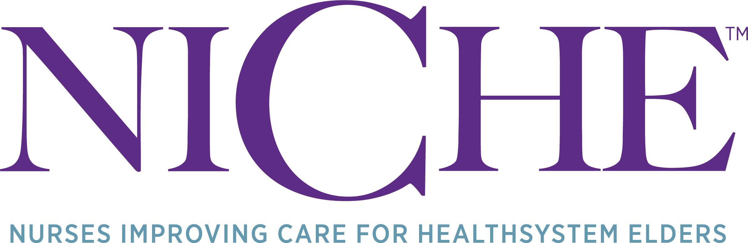 Nurses improving care for healthsystem elders logo