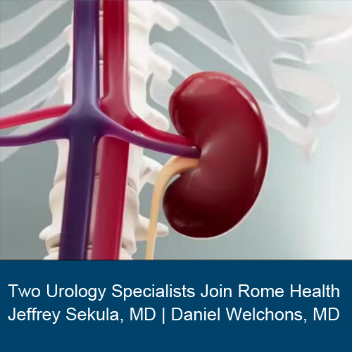 Illustration of urinary system